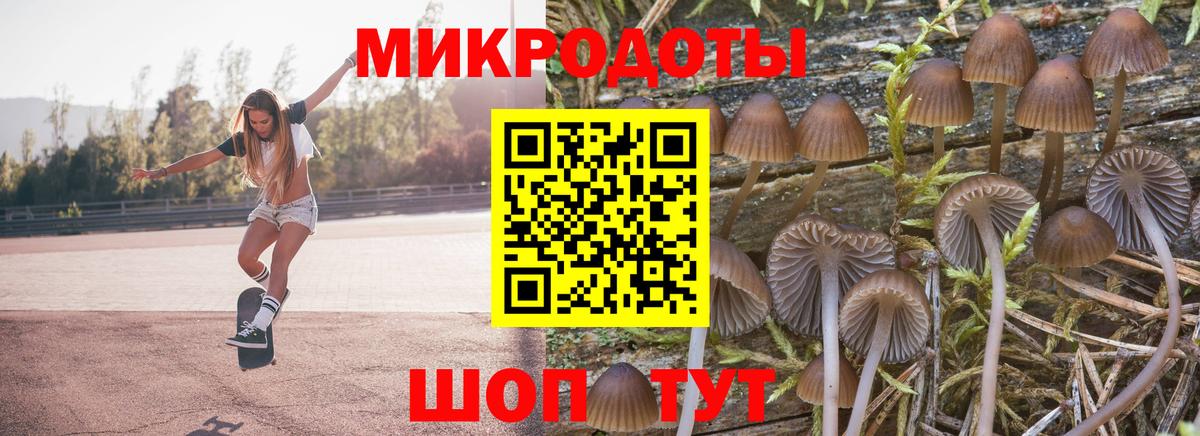 Псилоцибиновые грибы мухоморы Ирбит